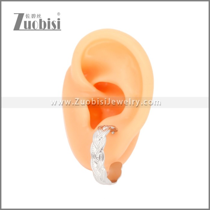 Stainless Steel Earrings e002453S