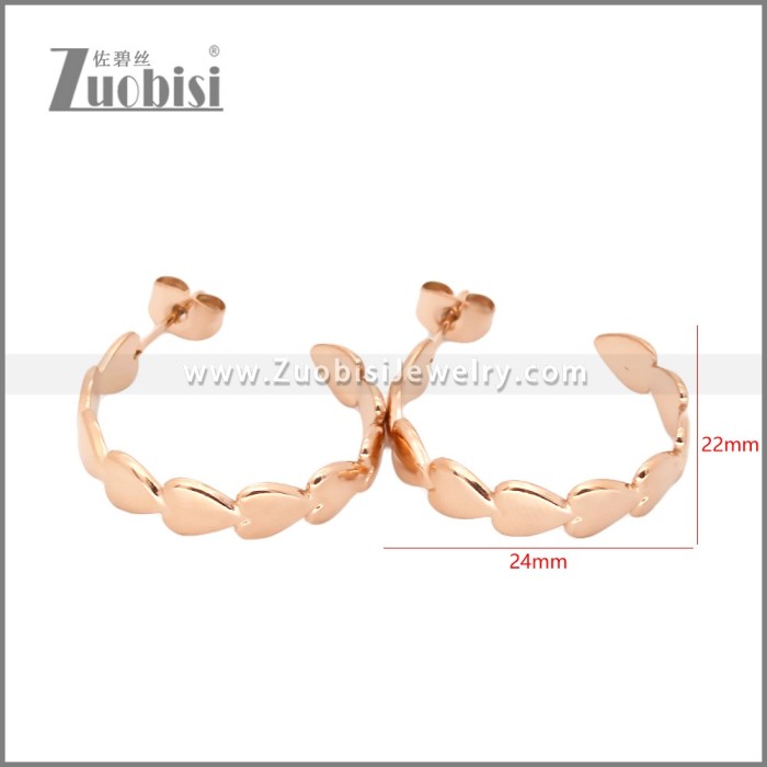 Stainless Steel Earrings e002454R