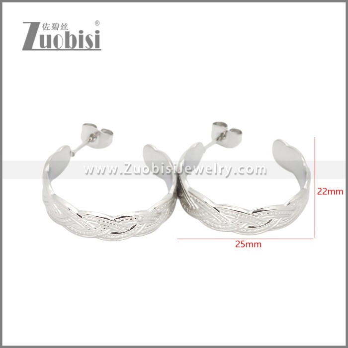 Stainless Steel Earrings e002453S
