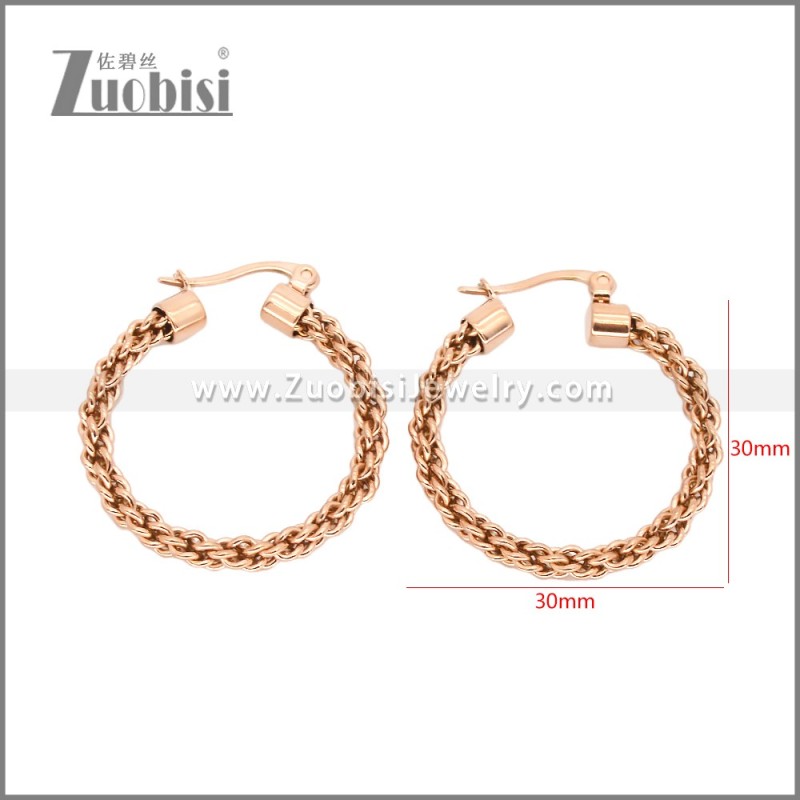 Stainless Steel Earrings e002459R