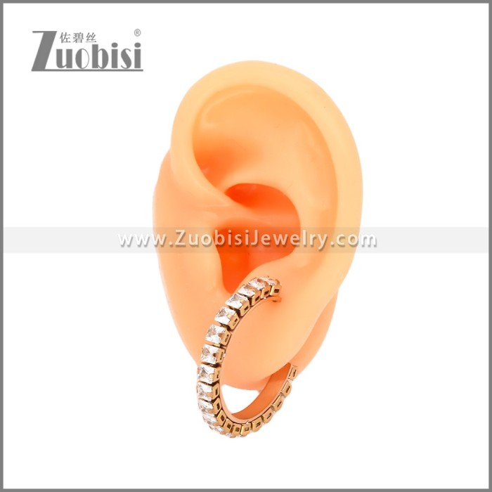 Stainless Steel Earrings e002451R