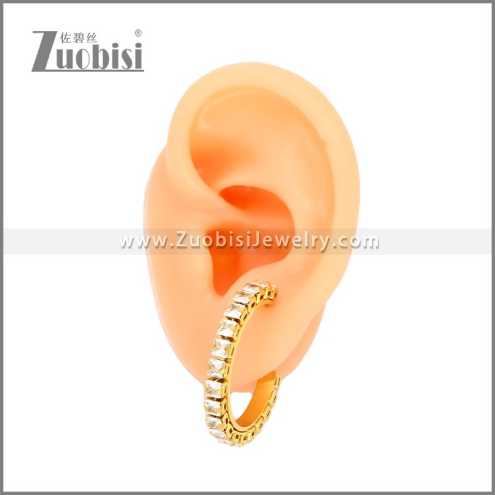 Stainless Steel Earrings e002451G