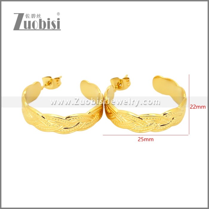 Stainless Steel Earrings e002453G