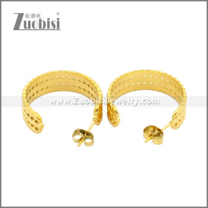 Stainless Steel Earrings e002457G