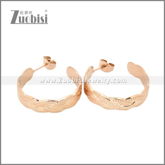 Stainless Steel Earrings e002453R