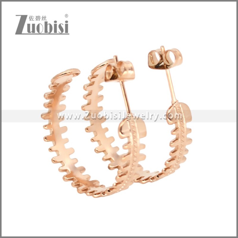 Stainless Steel Earrings e002456R