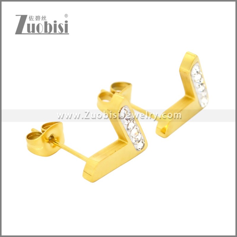 Stainless Steel Earrings e002445G