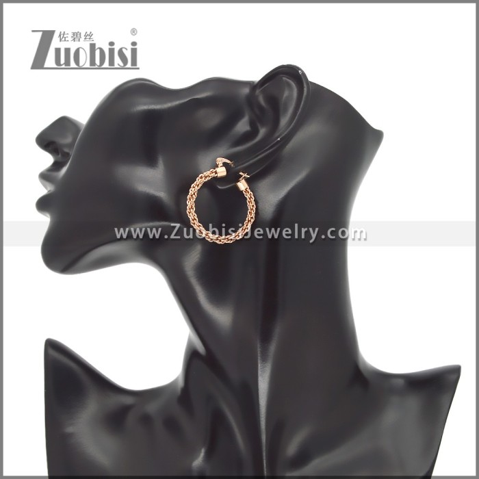 Stainless Steel Earrings e002459R