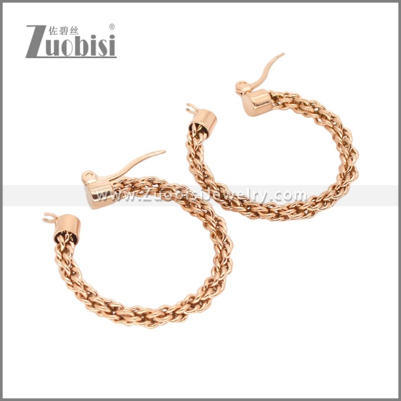 Stainless Steel Earrings e002459R