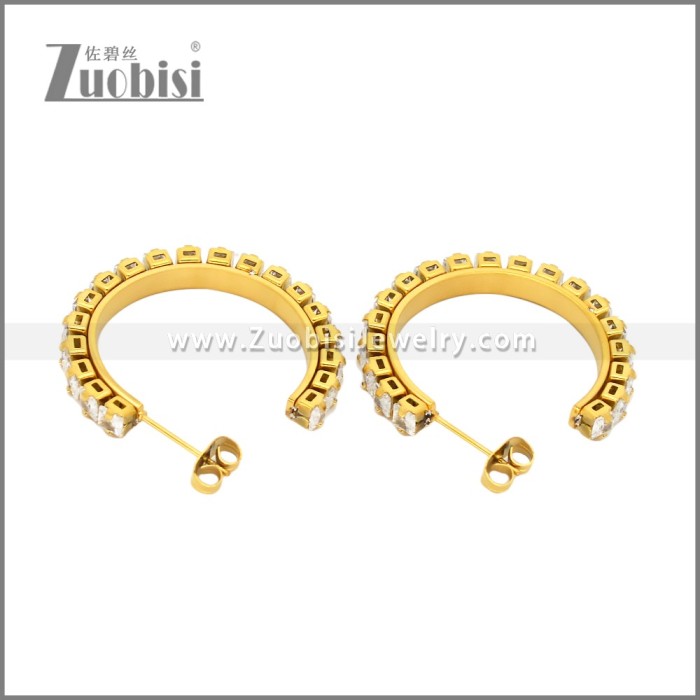 Stainless Steel Earrings e002451G