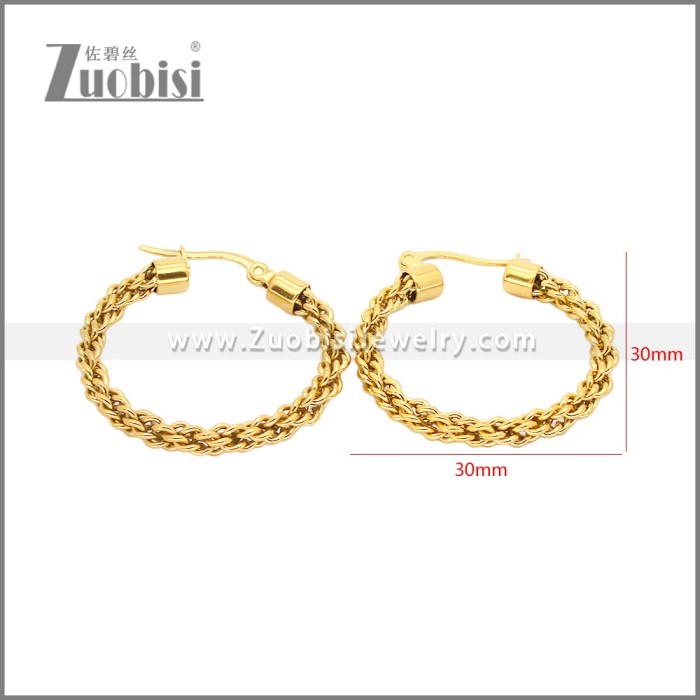 Stainless Steel Earrings e002459G