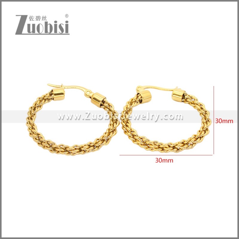 Stainless Steel Earrings e002459G