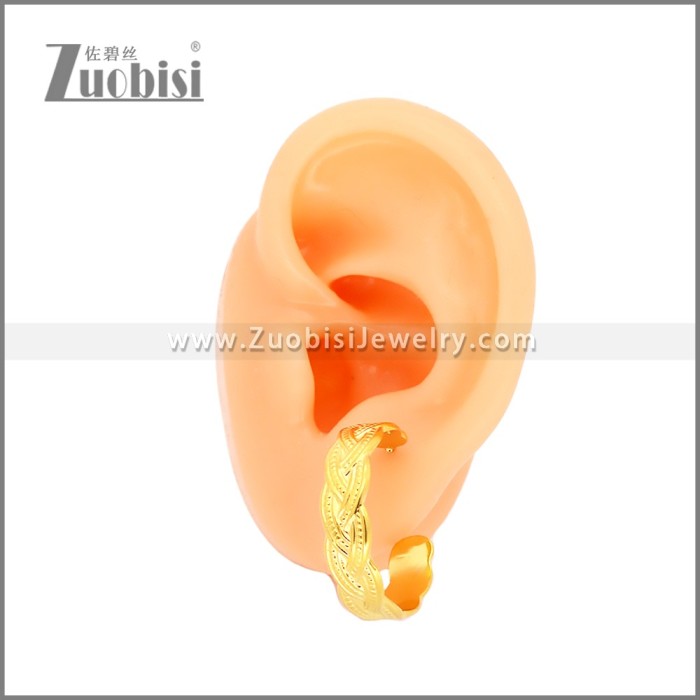 Stainless Steel Earrings e002453G