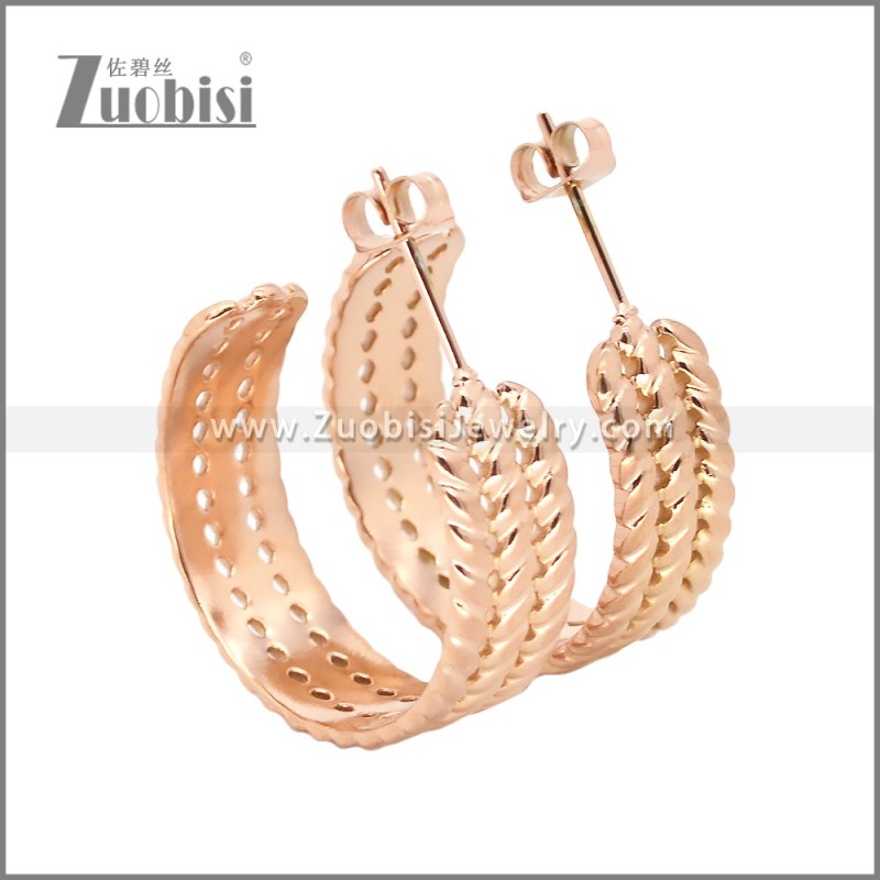 Stainless Steel Earrings e002457R