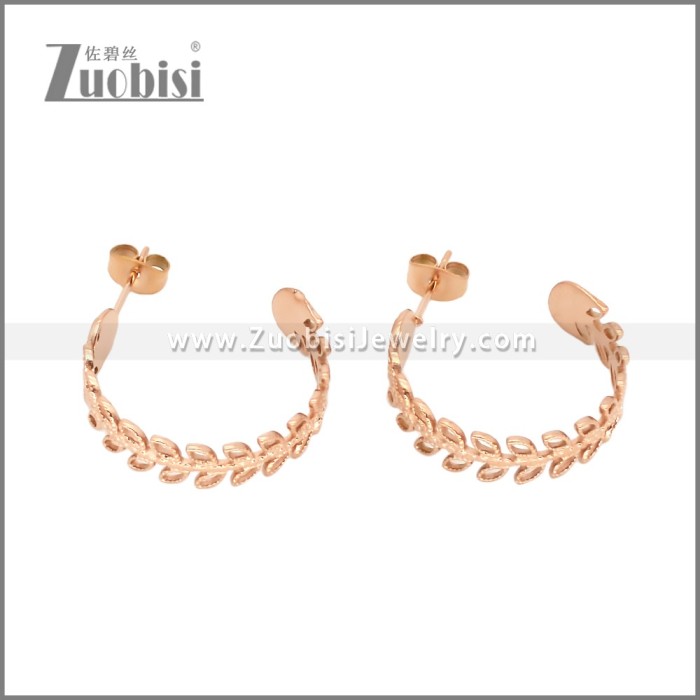 Stainless Steel Earrings e002452R