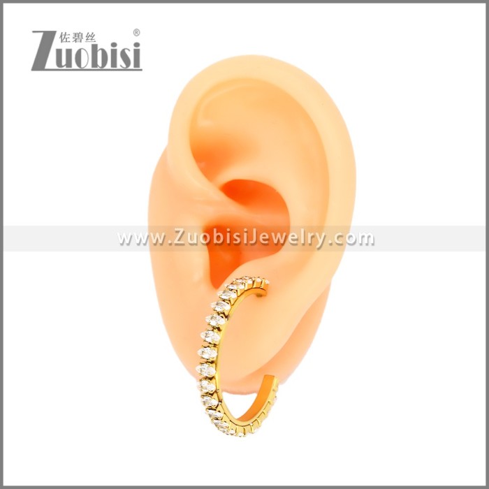 Stainless Steel Earrings e002447G