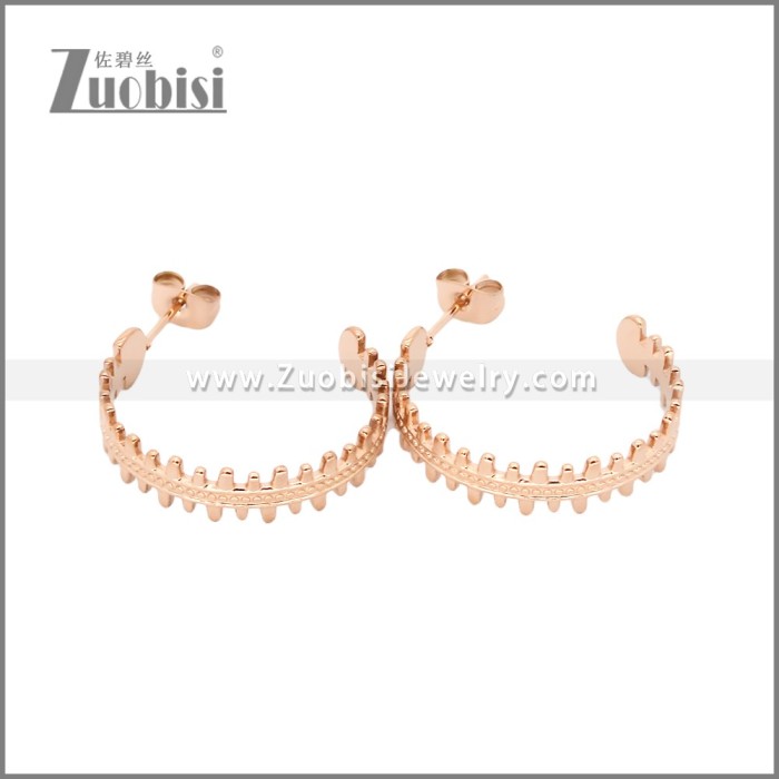 Stainless Steel Earrings e002456R