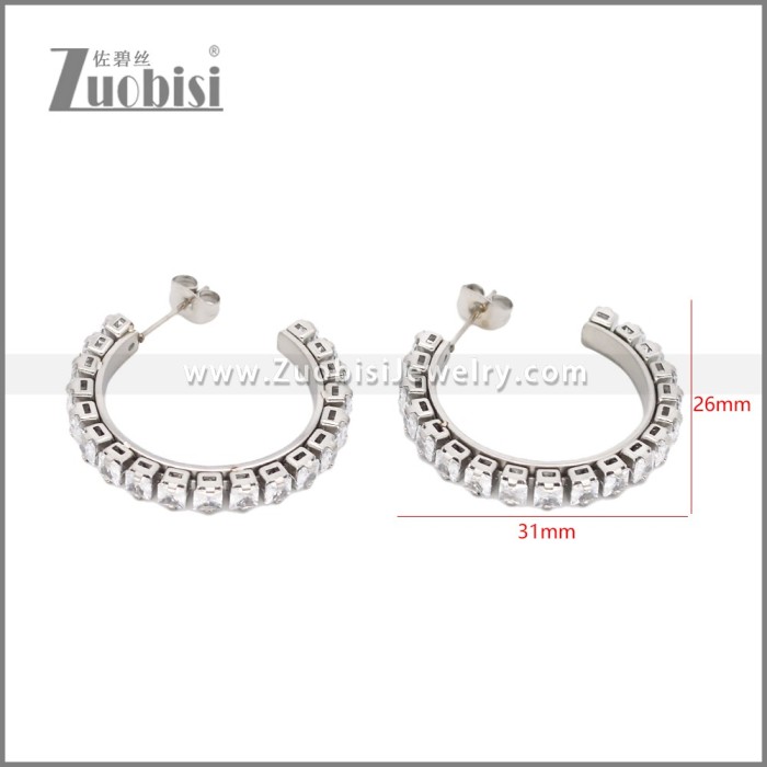 Stainless Steel Earrings e002451S