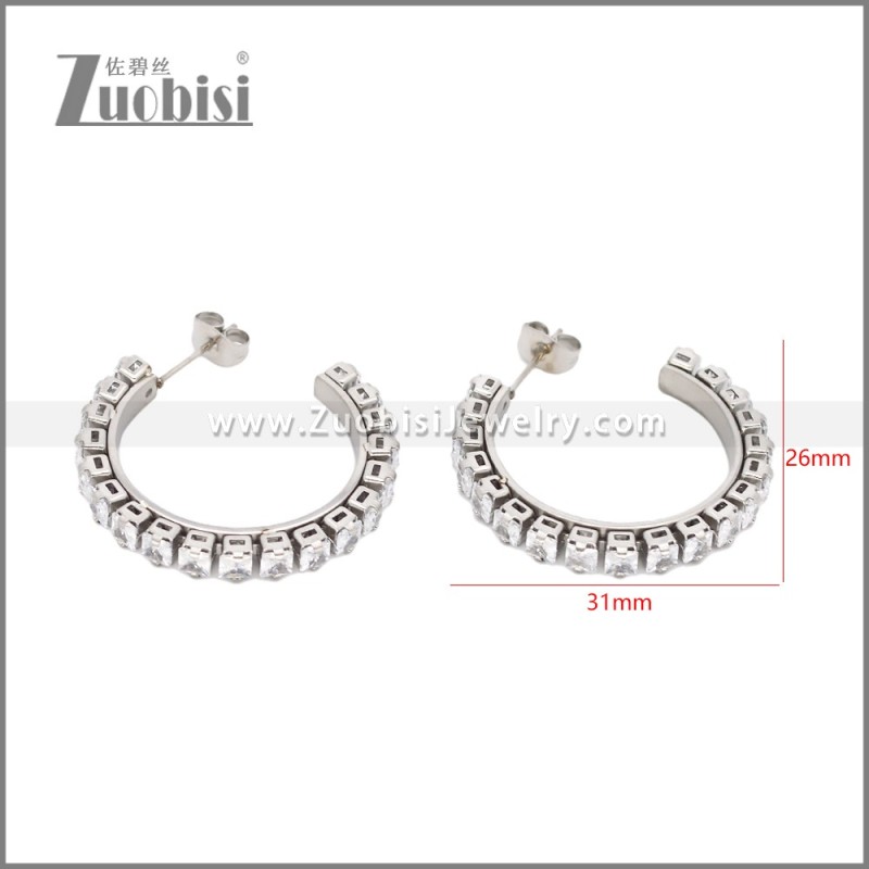 Stainless Steel Earrings e002451S