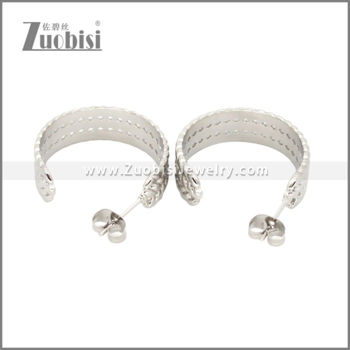 Stainless Steel Earrings e002457S