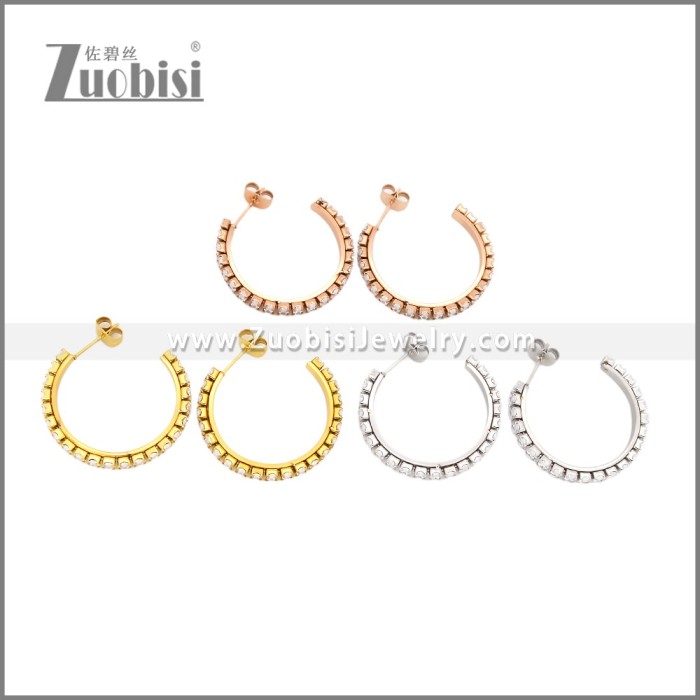 Stainless Steel Earrings e002447R