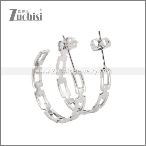 Stainless Steel Earrings e002458S