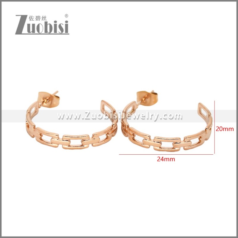 Stainless Steel Earrings e002458R