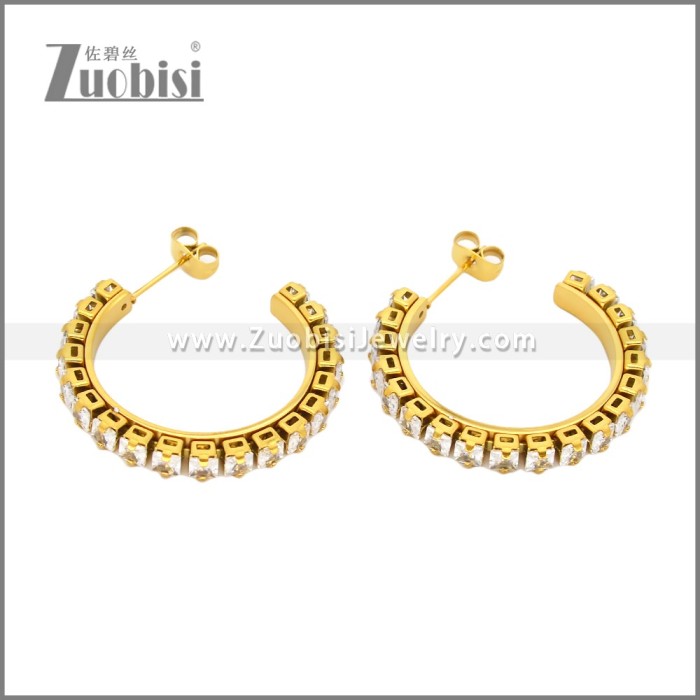 Stainless Steel Earrings e002451G