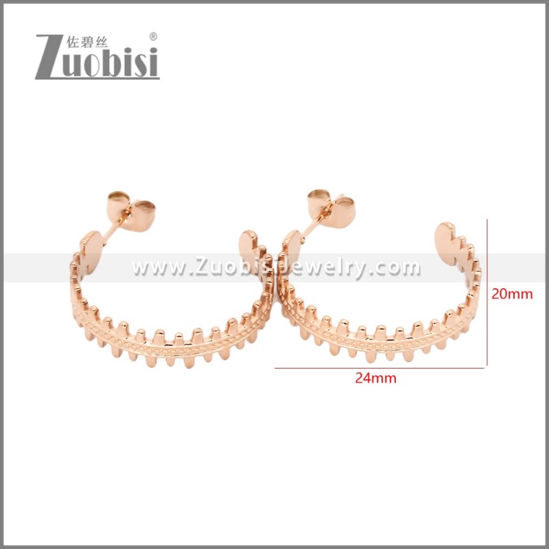 Stainless Steel Earrings e002456R