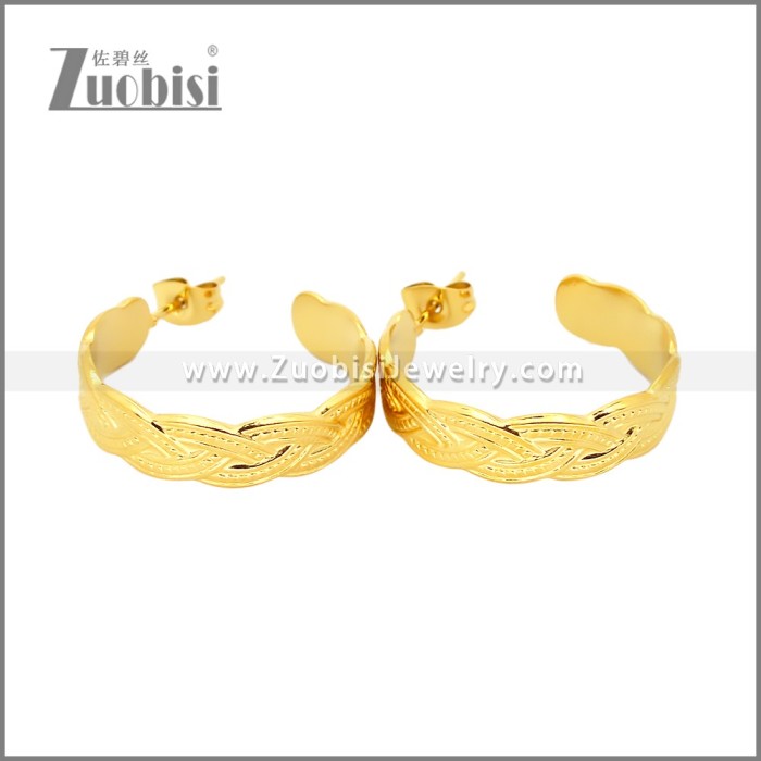 Stainless Steel Earrings e002453G