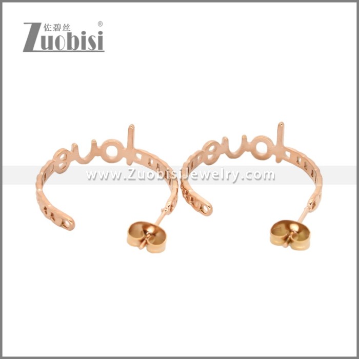 Stainless Steel Earrings e002455R