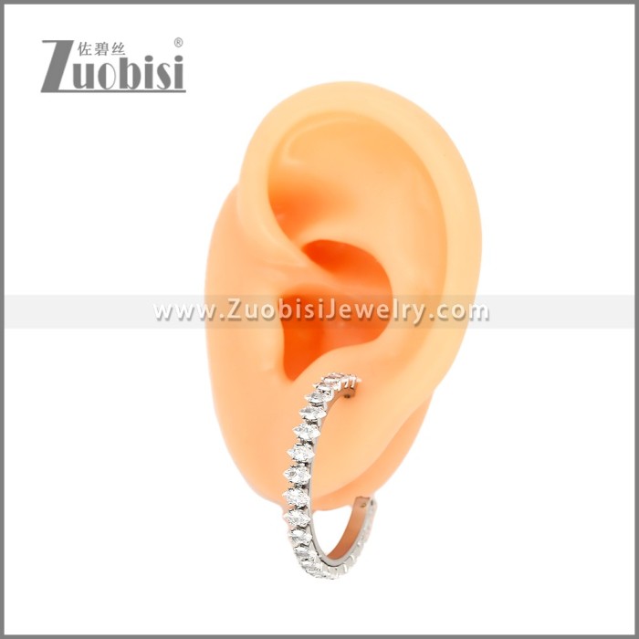 Stainless Steel Earrings e002447S