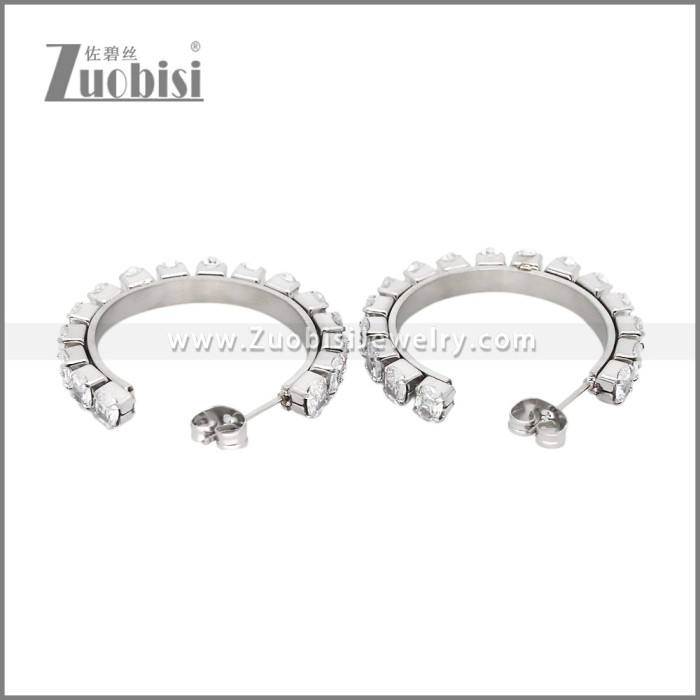 Stainless Steel Earrings e002449S
