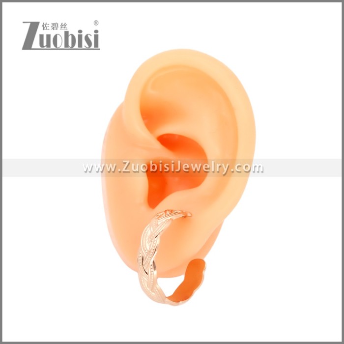 Stainless Steel Earrings e002453R