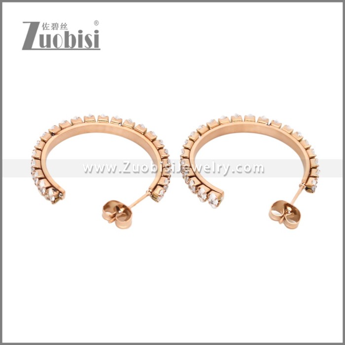 Stainless Steel Earrings e002447R