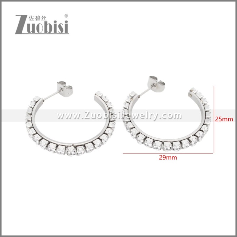 Stainless Steel Earrings e002447S