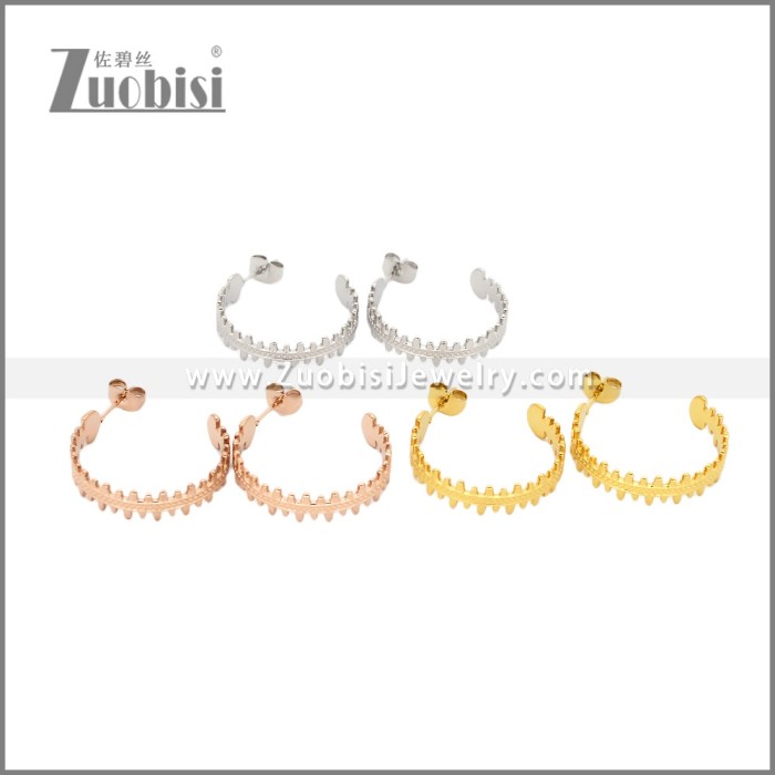 Stainless Steel Earrings e002456R