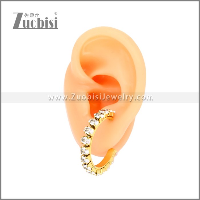 Stainless Steel Earrings e002449G