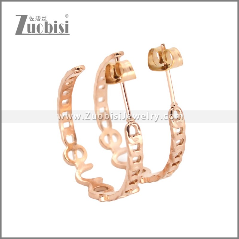 Stainless Steel Earrings e002455R