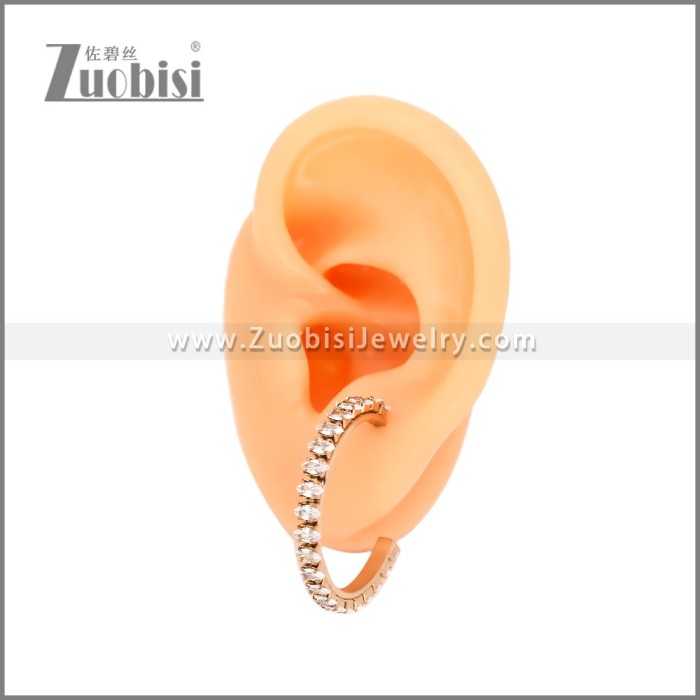 Stainless Steel Earrings e002447R