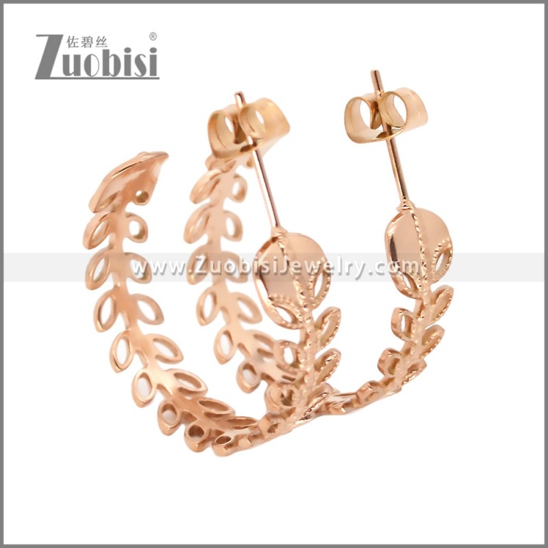 Stainless Steel Earrings e002452R