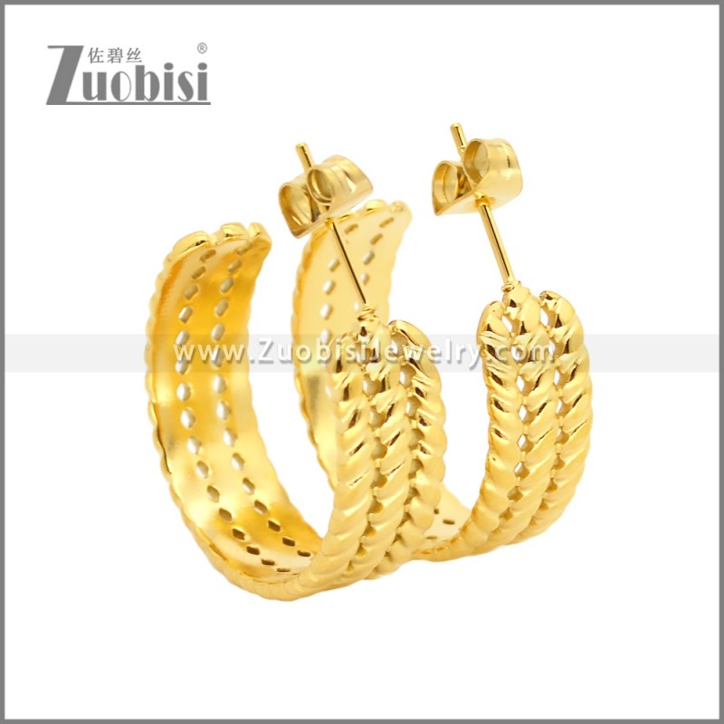 Stainless Steel Earrings e002457G