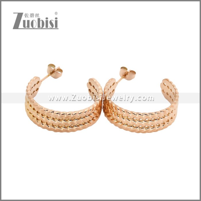 Stainless Steel Earrings e002457R