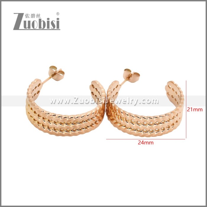Stainless Steel Earrings e002457R