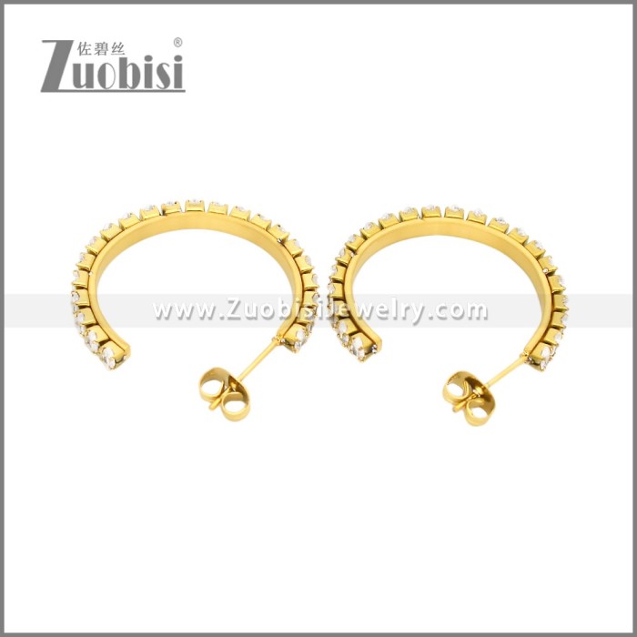 Stainless Steel Earrings e002447G