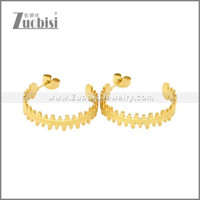 Stainless Steel Earrings e002456G