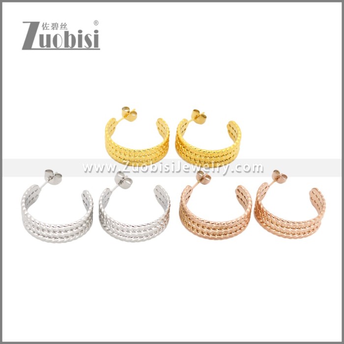 Stainless Steel Earrings e002457R