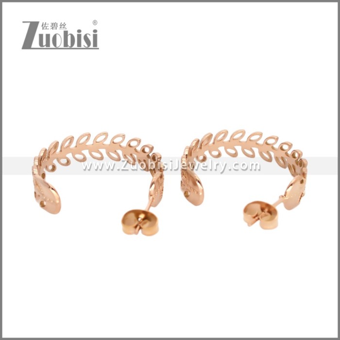 Stainless Steel Earrings e002452R