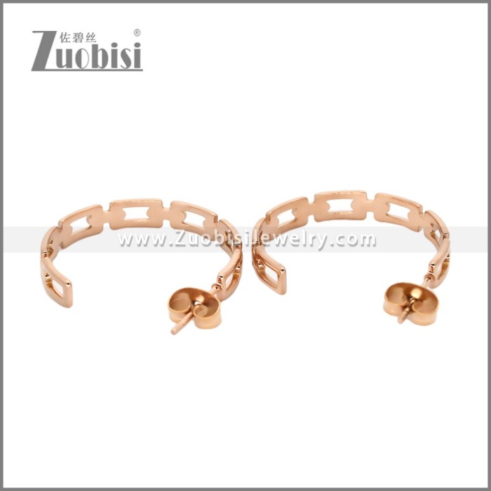 Stainless Steel Earrings e002458R