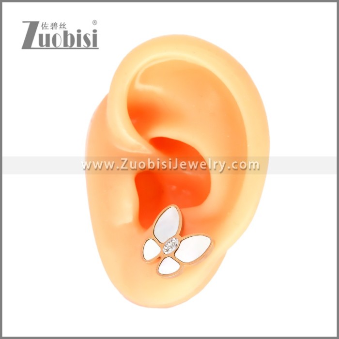 Stainless Steel Earrings e002444R
